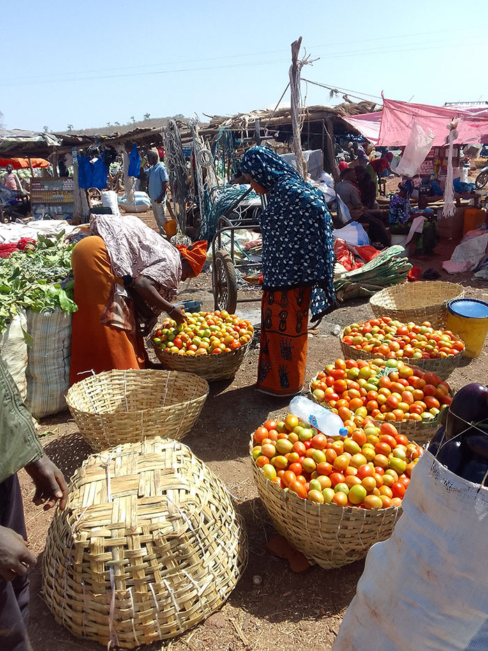 Kati Dral Market Mali 3